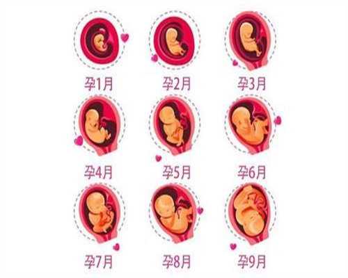  烟台代孕哪里比较好_烟台最靠谱代孕机构_专业的泰国试管婴儿机构才是成功好